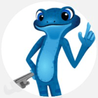 BlueFrog Plumbing & Drain Logo