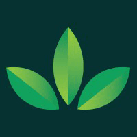 Mint Condition Logo