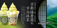 Premium Matcha Café Maiko Logo