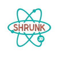 Shrunk 3D Logo
