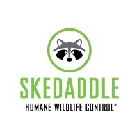 Skedaddle Logo