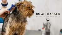 Bowie Barker Logo