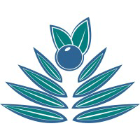 Palm Berries Logo