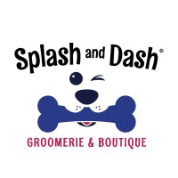 Splash And Dash Logo